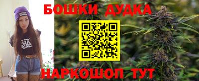 индика Владивосток