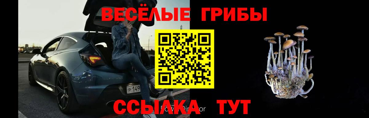Владикавказ  Псилоцибиновые грибы Cubensis  Галлюциногенные грибы Cubensis  Вход с VPN 